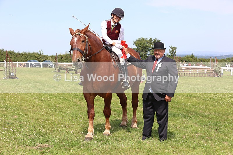 JPP_3536 - Class 15: Heavy Horse Ridden
