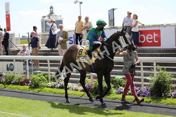 yr12062021r2-3 - Race 2 2.35pm The JCB Stakes