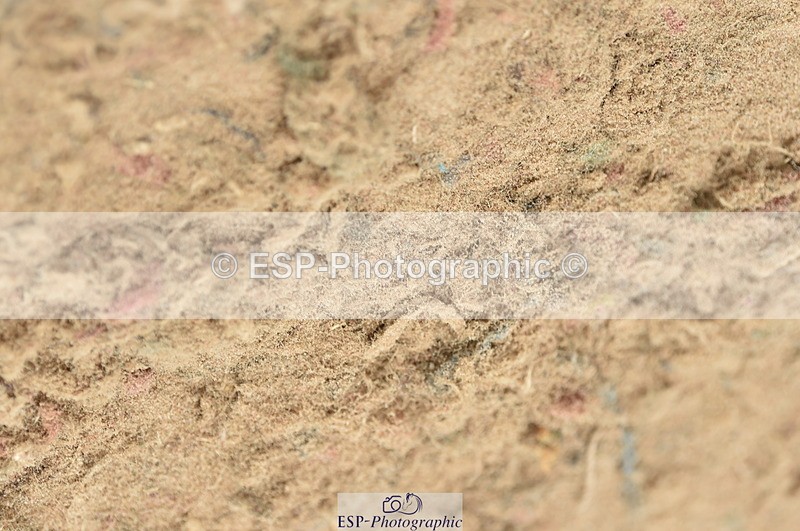 230611A-142330-06287 - Cls 36 Newcomers