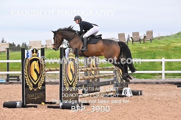 BPP_3900 - CLASS 16 SUN Senior Newcomers/1.10m Open