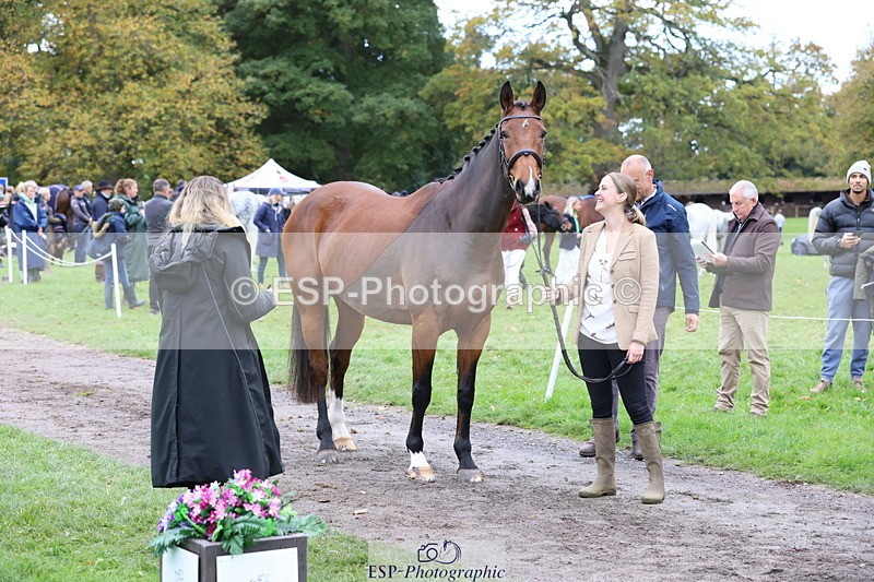 251026A-111123-25285 - F-462-Hayley.Allen