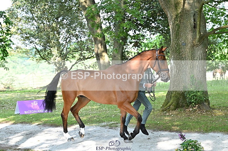 250521A-163951-01266 - C-251-Freddie.Carden-MBF.VITAL.FINESSE