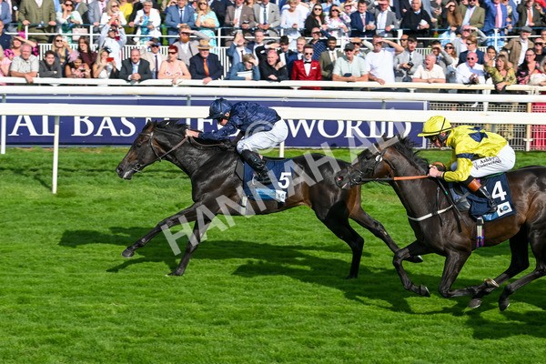 220825-Race 6-Frescobaldi-7783 - Race 6 4.45pm British Stallion Studs EBF Convivial Maiden Stakes
