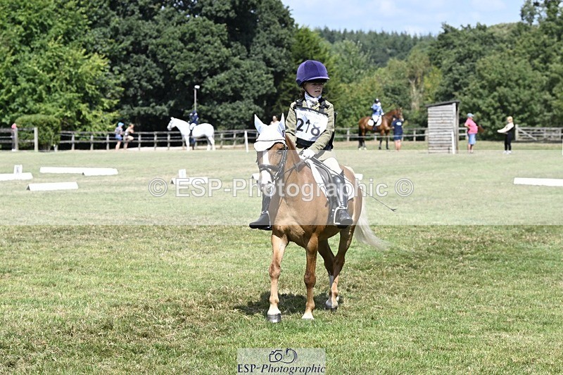 250822A-122223-22729 - DR 11.00 to 12.00