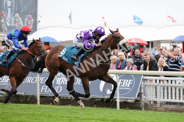 yr22072022r4-32 - Race 4 6.50pm The IRE Incentive It Pays To Buy Irish EBF Restricted Novice Stakes