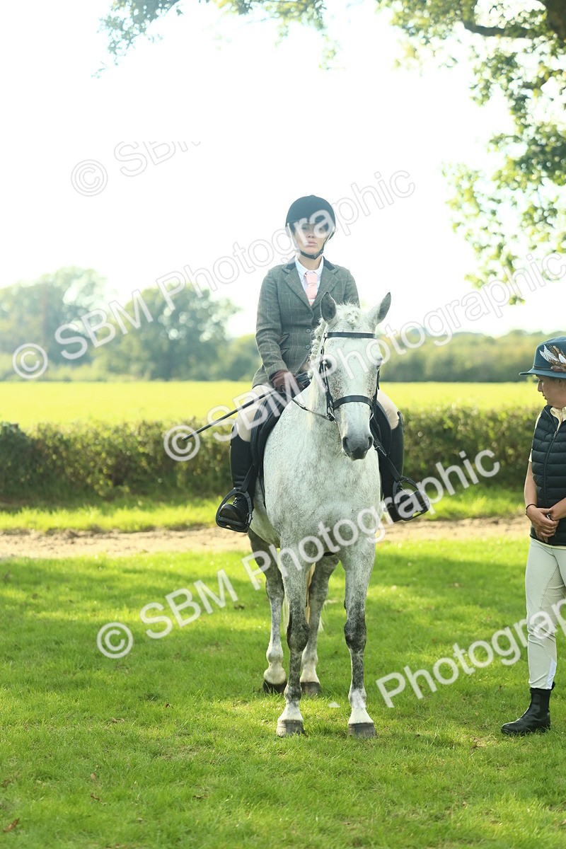 SBM_52186 - S33 - Working Hunter & Working Show Horse
