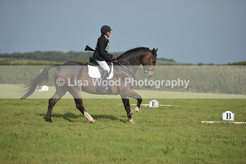 RAY_7990 - Class 2B: Trekenning Open: Dressage
