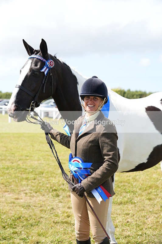 DSC07237 - Coloured Horse In Hand Championship