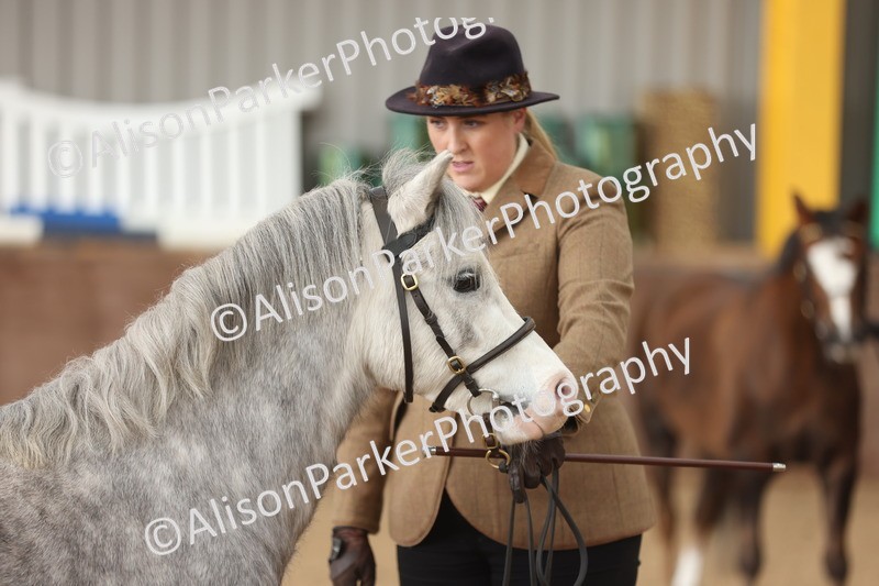 20251109-0632 - Class 22 - Geldings 4 Years and over