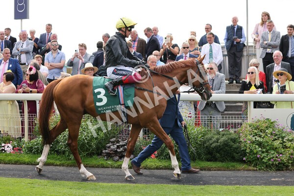 yr20082021r2-27 - Race 2 2.25pm Weatherbys Hamilton Lonsdale Cup (British Champion Series race)