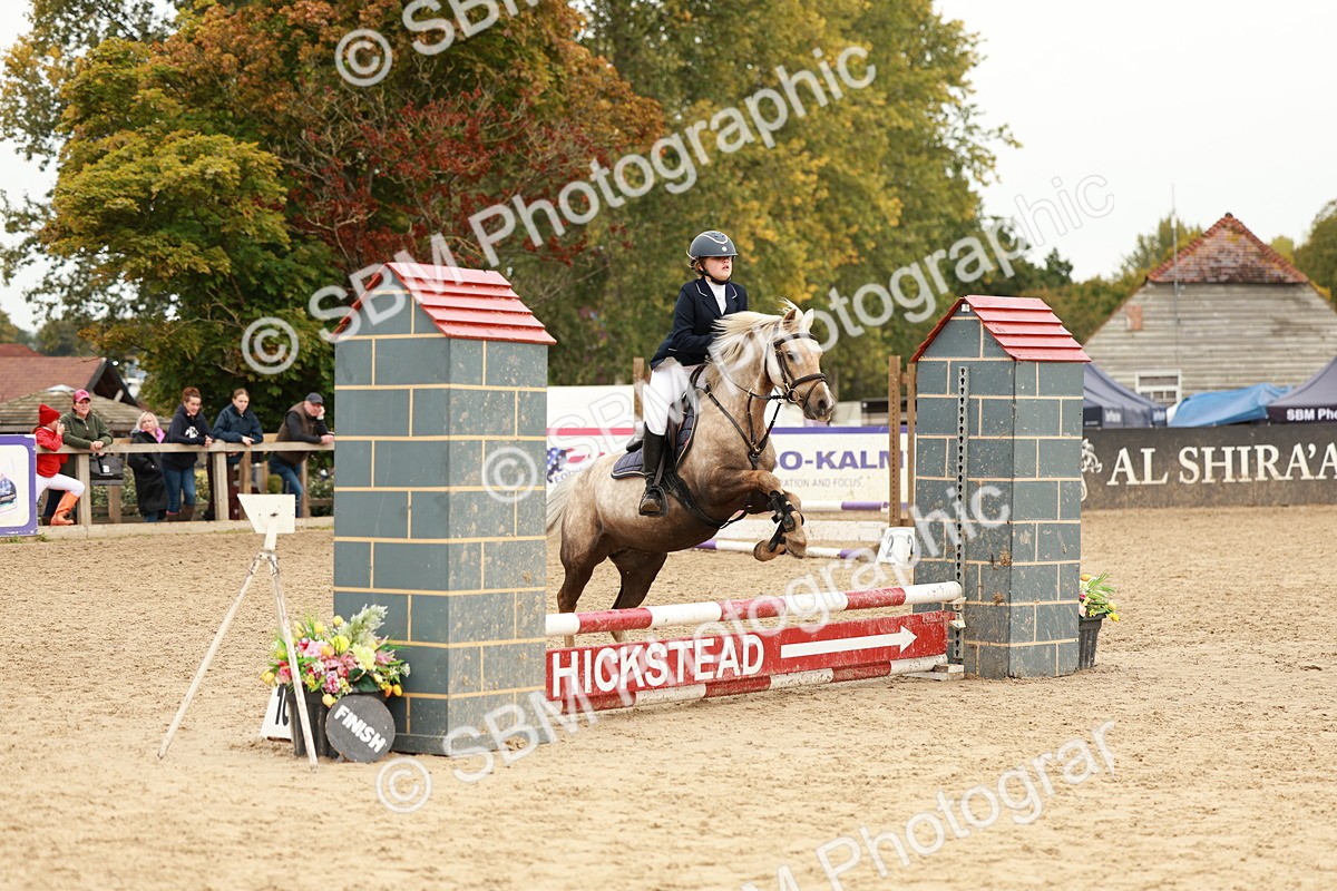 SBM_58016 - J11 - Junior Pony 50cm Championship