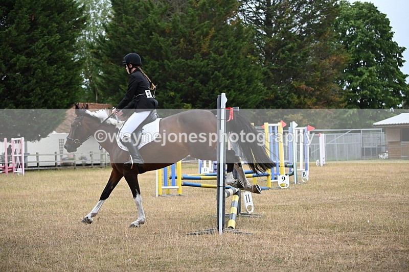 WJ6_0058 - Class 13 Novice Jumping 60cm