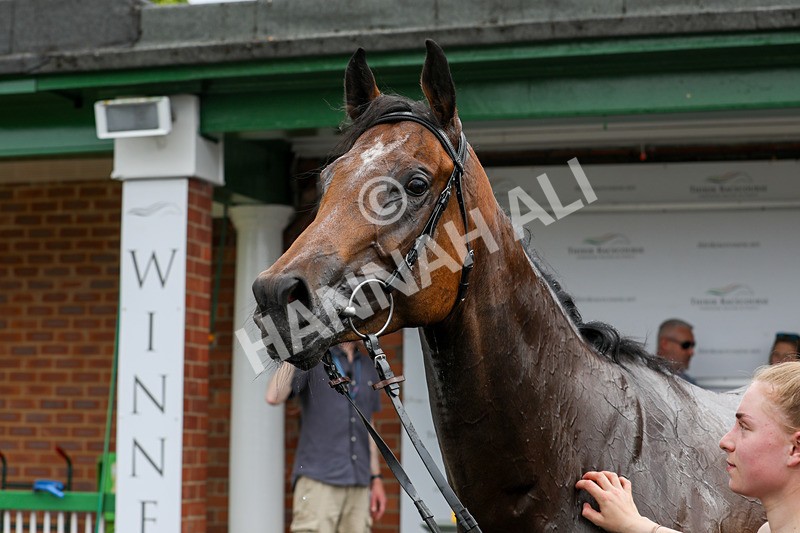 240624-Race 3-Eternal Sunshine-0244 - Race 3