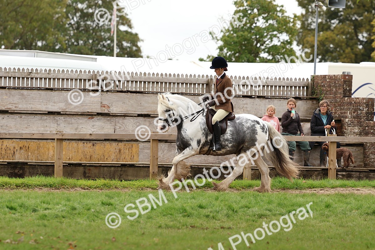 SBM_64477 - S58 - Coloured Pony Ridden