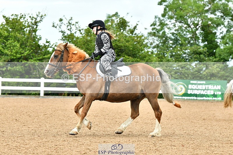 230804A-105916-02094 - Musical Ride