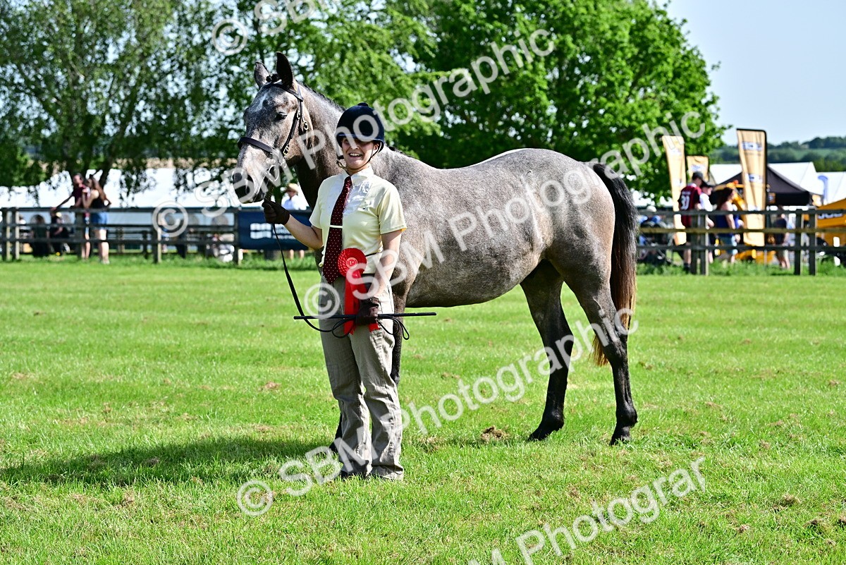SBM_03311 - Class 50 - 54 Light Horse Breeding