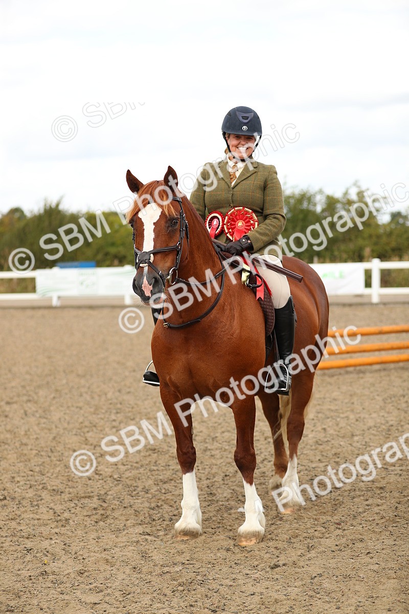 SBM_04876 - Class 47a Style & Performance 60cm (15-19)