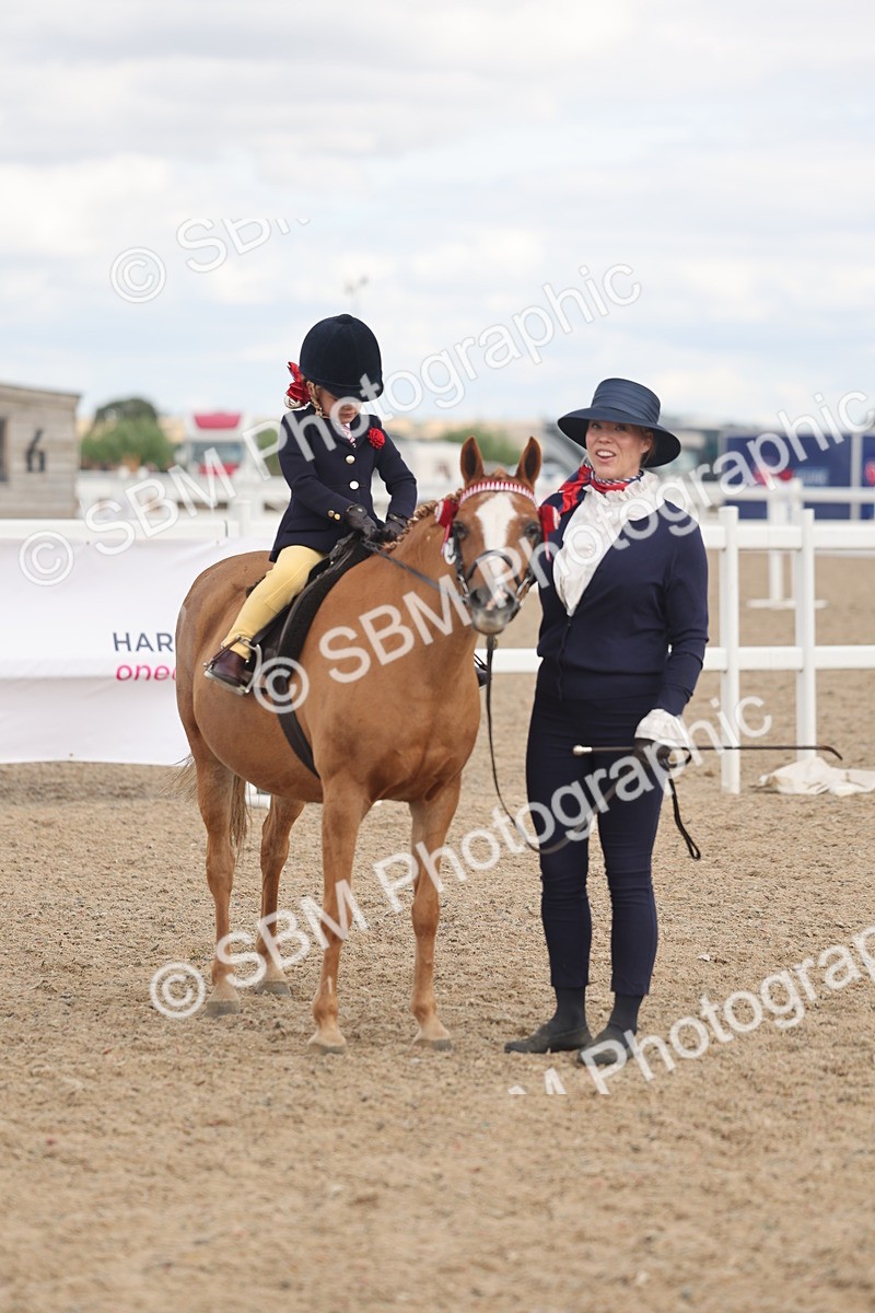 SBM_15811 - Class 309 - Lead Rein Pony