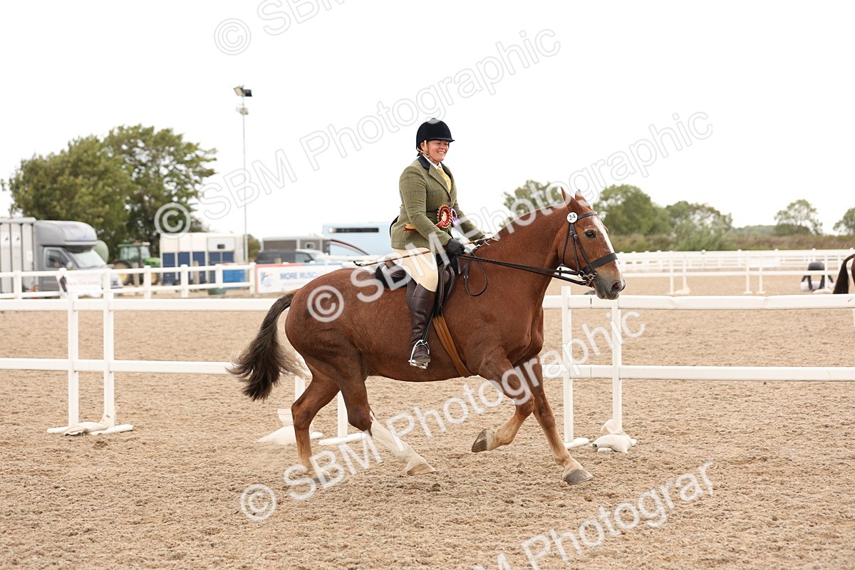 SBM_19615 - Class 215 - Ridden Show cob