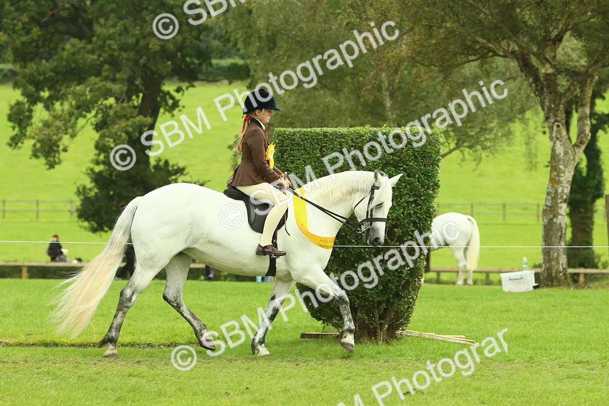 SBM_74974 - Ridden Pony Supreme Championship