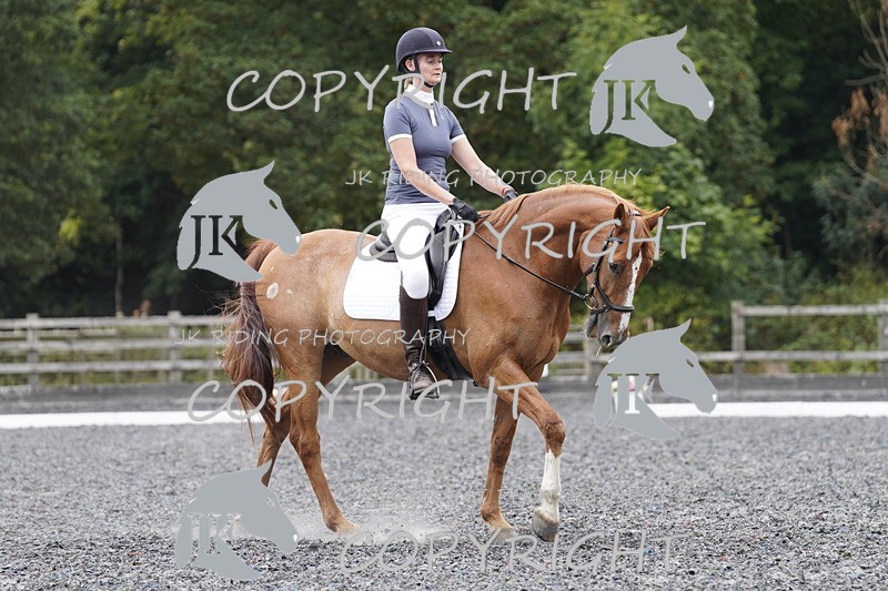 _DSC1954 - ELEM 2