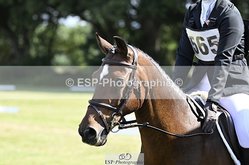 250822A-105750-20532 - DR 10.00 to 11.00