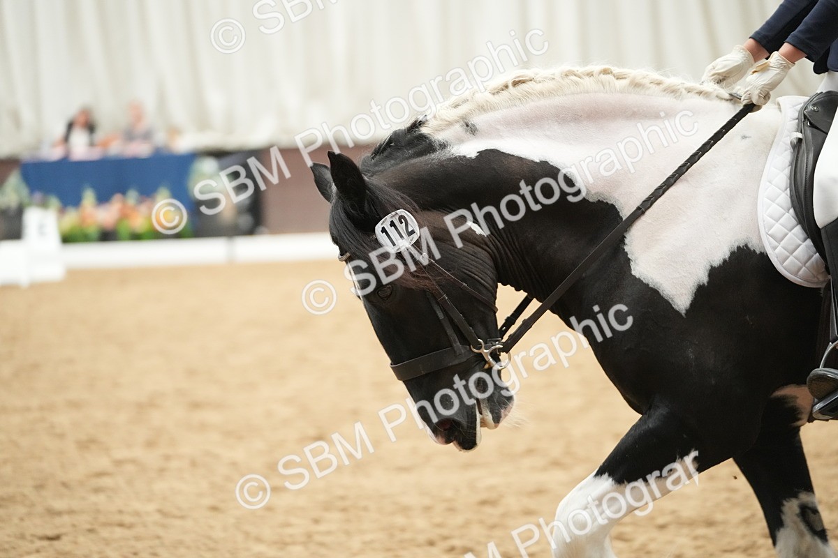 SBM_004414 - Class 11 - Elementary 2 Champs