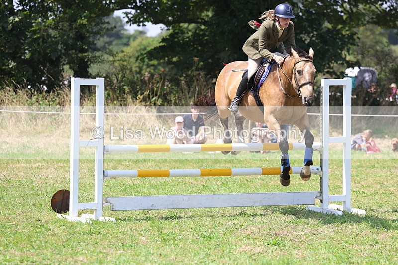 3E7A2984 - Class 7: Senior British Novice/90cm open