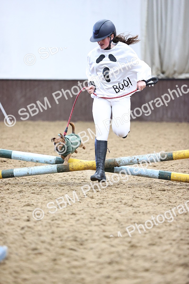 SBM_001517 - Class 3 - Horse & Hound 60cm