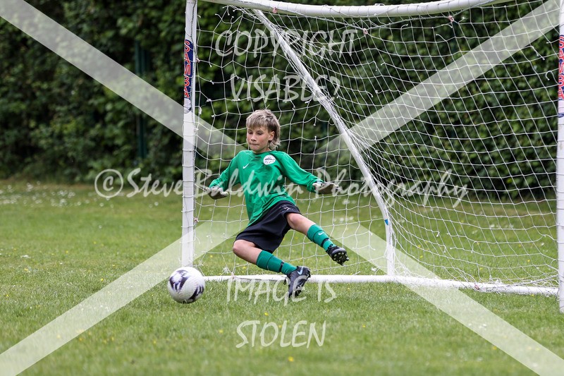 1DX31427 - Brook Field V Goddard Park