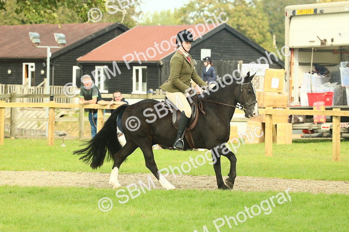 SBM_68221 - S58 - Mini Show Cob Ridden