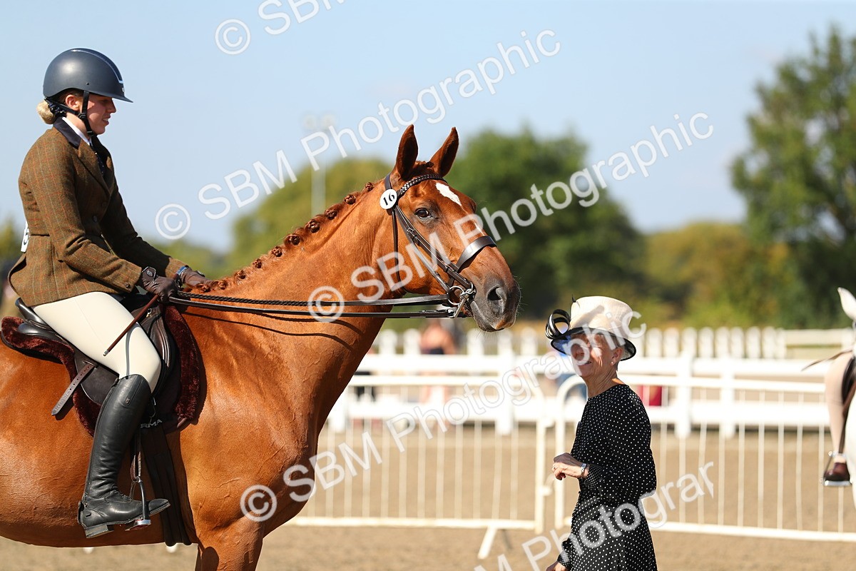 SBM_02292 - Class 43 Ridden Competition Horse/Pony