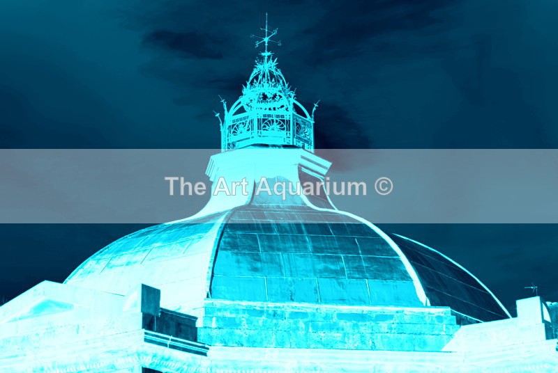 The Art Aquarium - Rachael Inchboard
