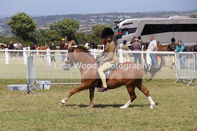 1X9A5415 - Class 37: NPS M&M First Ridden