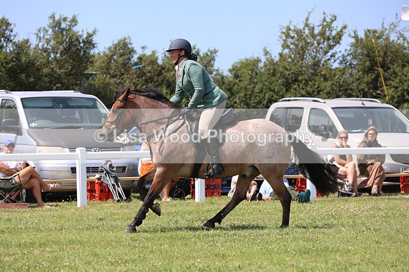 JPP_3160 - Class 22: Working Hunter 70cm