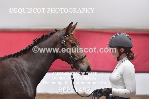 BPP_1497 - MORNING 9AM - 12PM