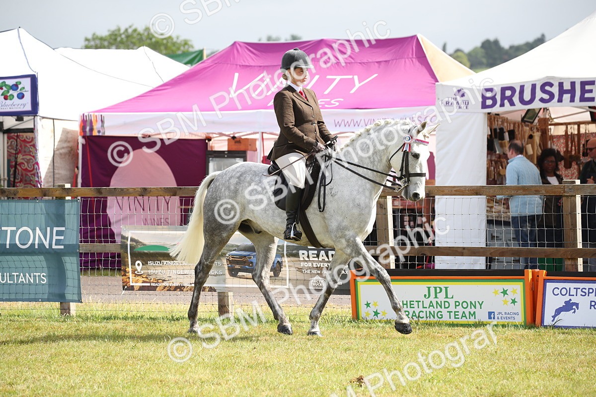 SBM_11501 - Class 95-96 - LIHS BSHA Rising Star Hack Riding Horse