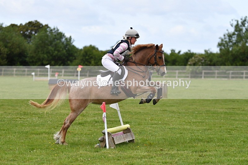 WJ5_2509 - Class 2 40cm