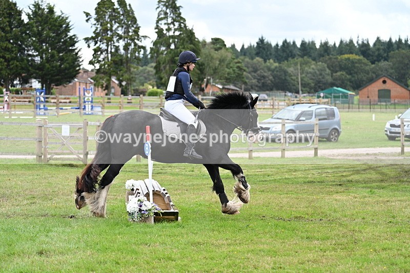 WJ7_9375 - 60cm Time 12:51 to 13:18