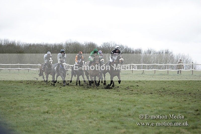 PtP 150320 0476 - New Forest Point-to-Point Larkhill 15/03/20