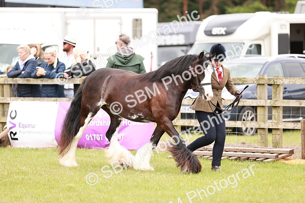 SBM_04650 - Class 5-8 - BSPA In hand