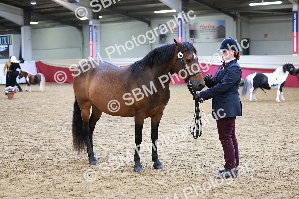 SBM_17346 - Class 951 - M&M IH Supreme Final