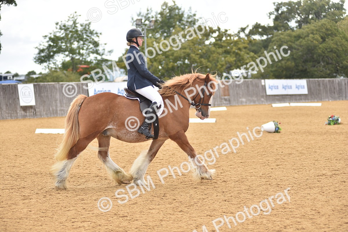 SBM_29619 - D16 -Small Tour Championship Novice 2