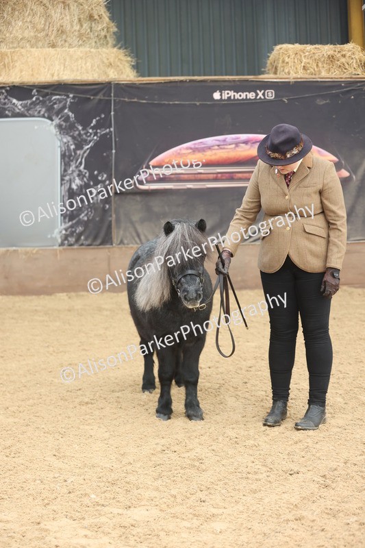 20251109-0050 - Class 3 - 2 and 3 Year Old