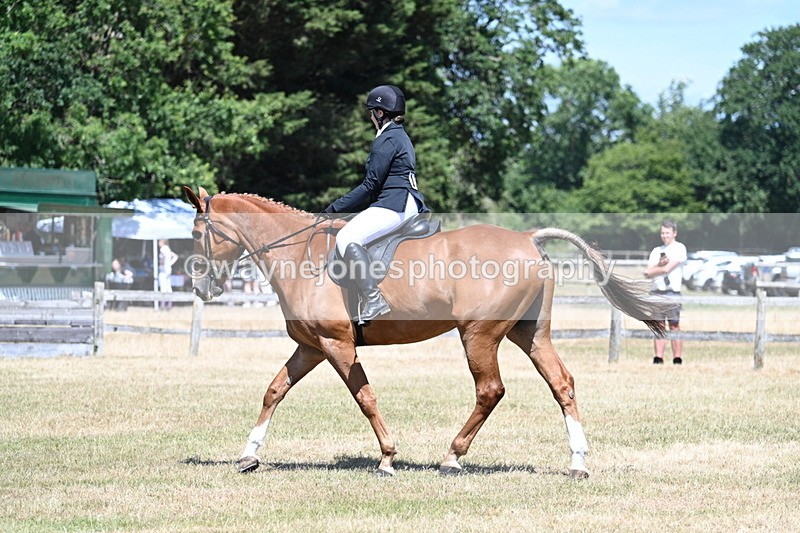 WJ7_2905 - Class 7 Riding Club Show Horse