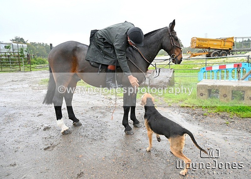WJ7_8232 - Berks & Bucks Blackcroft Farm 20-10-24