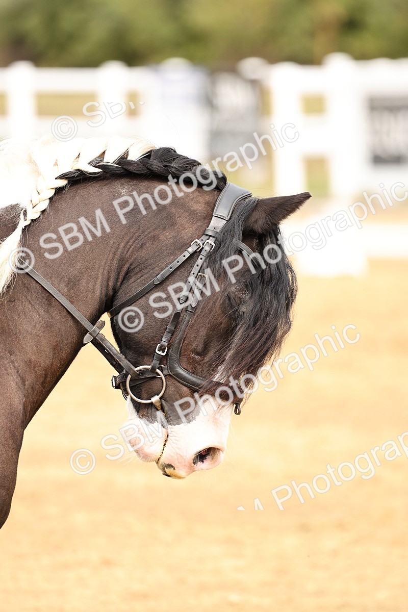 SBM_012352 - Class 2 - Prelim 5