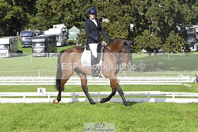 251023A-150751-04517 - E-386-Zara.Head