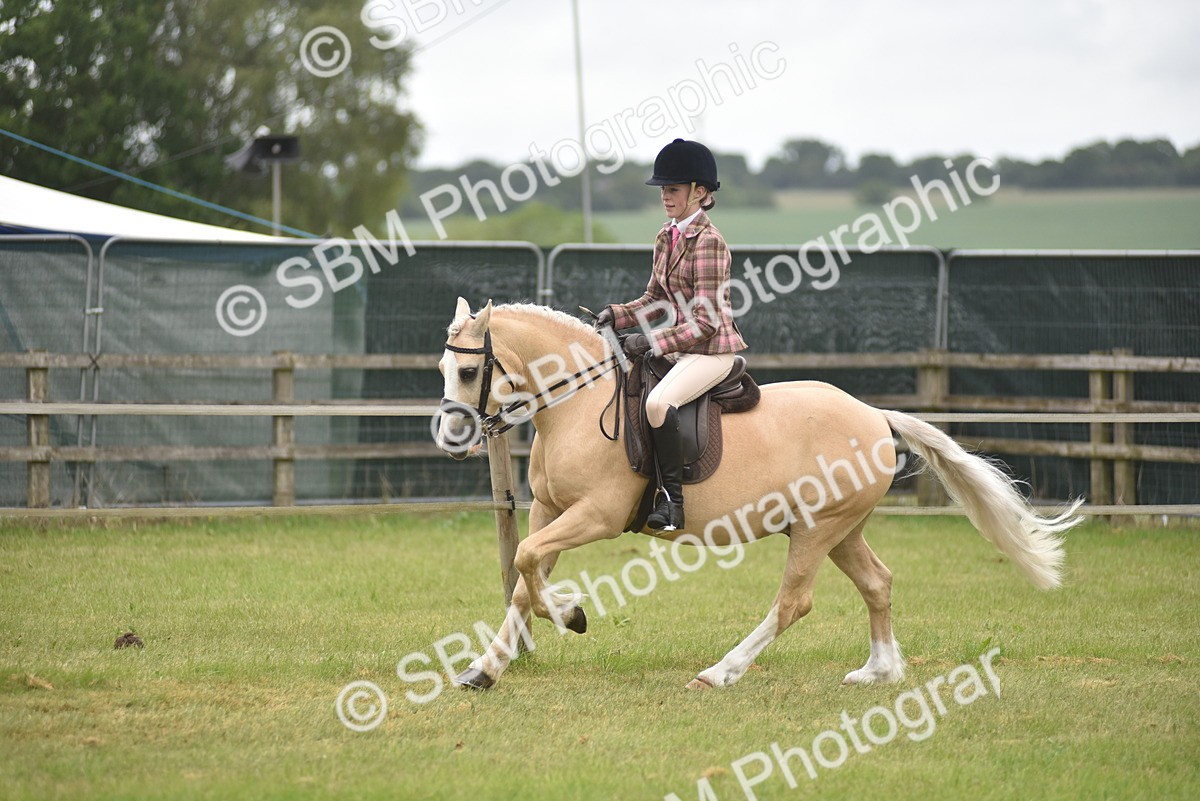 SBM_12010 - Class 110-112 - LIHS BSPS Performance Pones