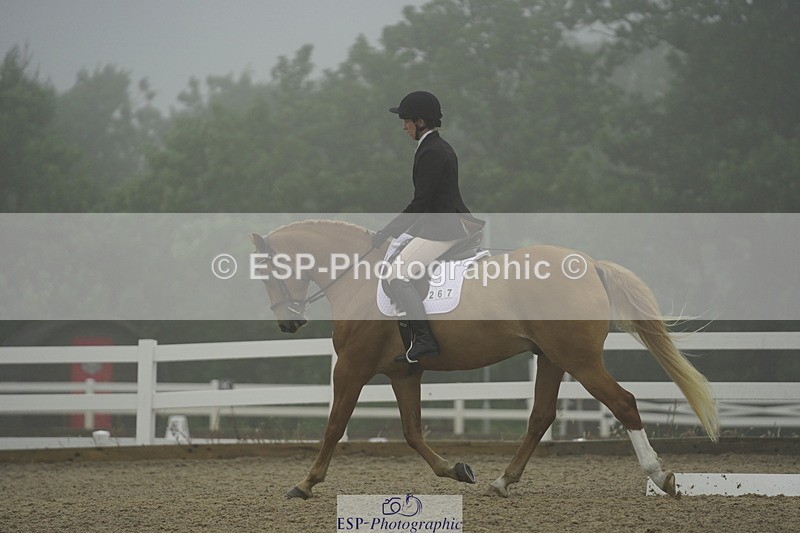 230708A-150034-03958 - Prelim 18